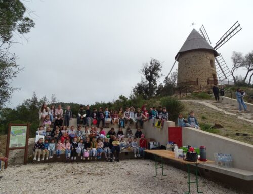 Chasse aux œufs autour du moulin